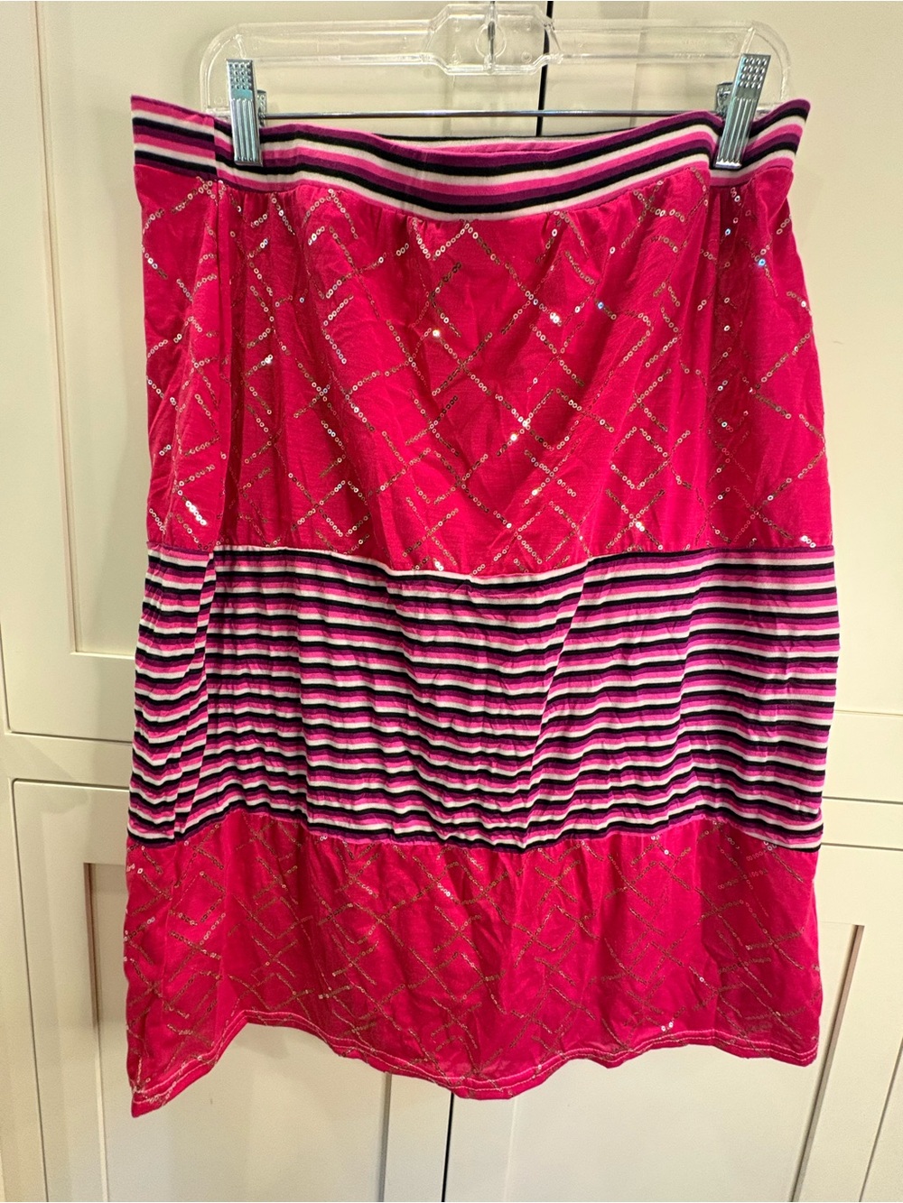 Hot Pink Striped A-Line Skirt with Metallic Detail